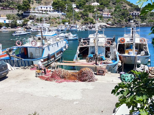 Marzo Early Bird! Prenota entro il 31 marzo!