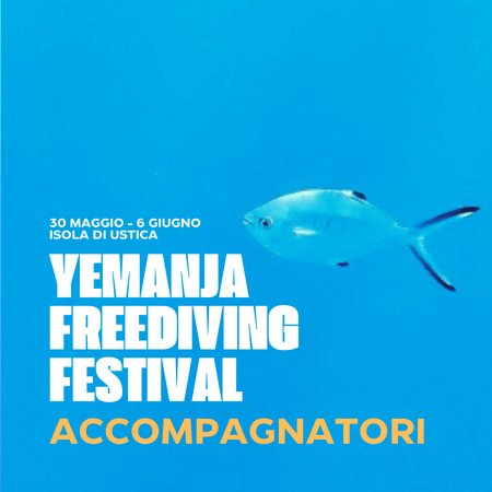 ACCOMPAGNATORI - Yemanja Freediving Festival 2026